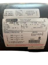 Load image into Gallery viewer, StarTrac 230v Motor # 260-0934 (USED) REF# TMH13025-7MT