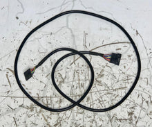 Load image into Gallery viewer, AFG 18.1AXT Console Wire Harness - OEM# 1000101658 - New - REF# WFR119184SH