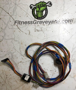 StairMaster 3900 RC # 24917 - Main Wire Harness - USED - 28198CM