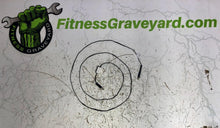 Load image into Gallery viewer, Life Fitness 95R - Power Wire Harness - OEM# AK32-00160-0000 - New - REF# MFT3131912SH