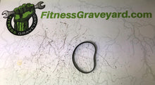 Load image into Gallery viewer, Cybex 750T Drive Belt - Used - REF# 212182SH