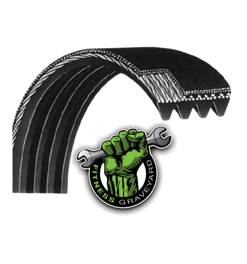 cybex 600a Cybex 600A Drive Belt # 600A-343 NEW REF# TRENZ042122-3MO – FitnessGraveyard