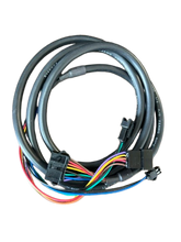 Load image into Gallery viewer, Life Fitness Base Wire Harness #REX2GHY (NEW) REF#TMH72326-3MT
