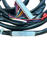 Load image into Gallery viewer, Life Fitness CLSX Main Wire Harness #AK61-00136-0000 (NEW) REF#ECOF101226-2MA
