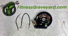 Load image into Gallery viewer, True Fitness XPSX Magnetic Brake - New - REF# MFT871812SH
