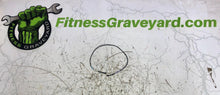 Load image into Gallery viewer, True Fitness CS6.0 CHR Board Cable - OEM# 0C475800 - New - REF# MFT1241815SH
