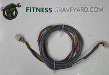 Load image into Gallery viewer, Life Fitness 95R Wire Harness # AK67-00106-0000 USED REF# GLB109194LS
