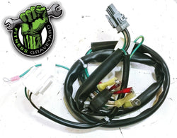 Life Fitness 95TE Main Power Wire Harness # AK58-00222-0000 USED REF# SMW622010BD