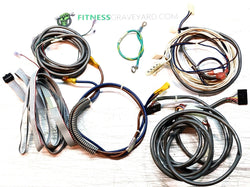 StairMaster 2100 LCD Wire Harness Bundle # USED REF# TMH060820-10LS