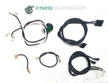 Load image into Gallery viewer, Vision Fitness - TF20-03 Wire Harness Kit # USED REF# TMH060920-5MO
