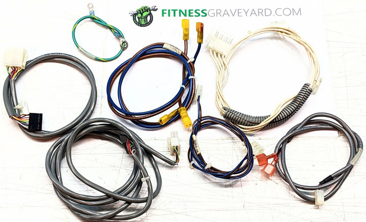 StairMaster 2100 Wire Harness Bundle # USED REF# TMH062420-3LS
