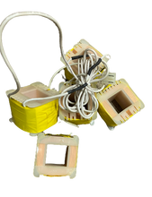 Load image into Gallery viewer, Bodyguard Fitness Coil Sets #517313 NEW Ref#BGF063021-3HBR
