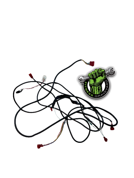 Gold's Gym - Power Spin 230 R - GGEX617070 Wire Harness Bundle # NA USED REF # DON072021-26ELW