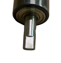 Load image into Gallery viewer, Bodyguard Fitness Rear Roller #513417 NEW Ref#BGF061521-1HBR

